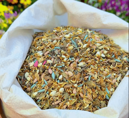 🔥Last day clearance💝Premium Cold-Hardy Mixed Perennial Seeds - Selected 40+ Fall Planting Mix